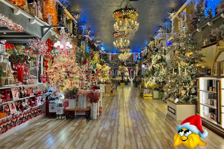 Regno di Babbo Natale