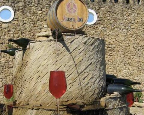 fontana di vino