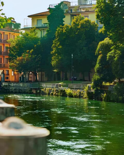 Treviso