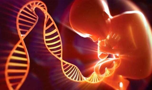 gestazione per altri