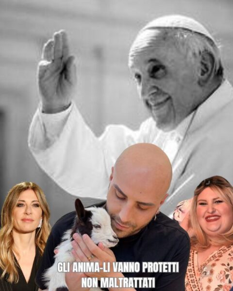 Papa Francesco