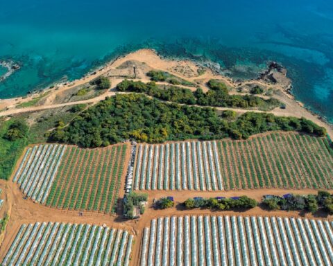 Agroecologia