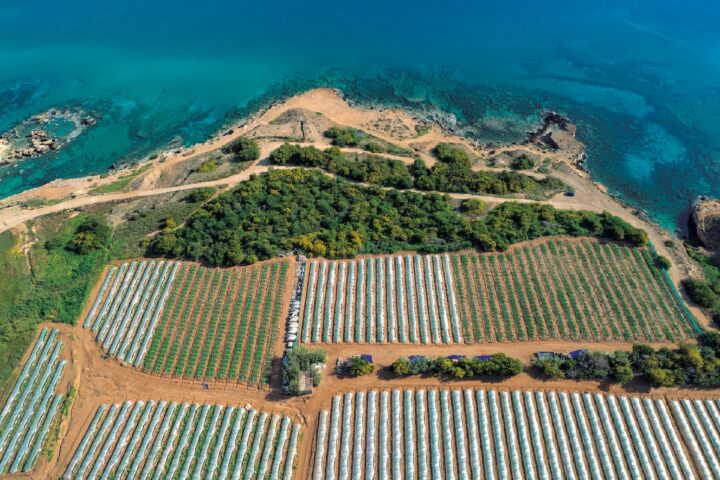 Agroecologia
