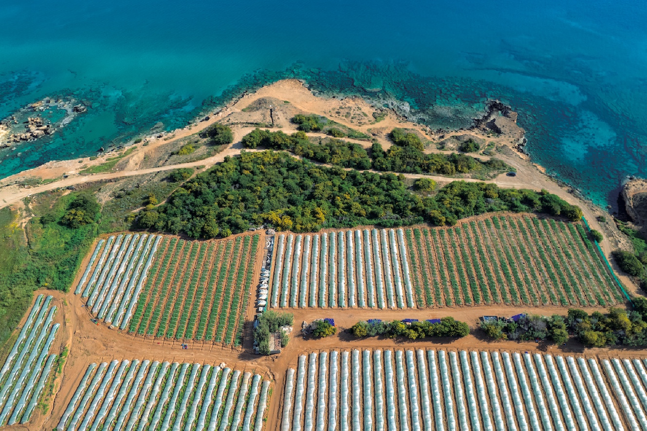 Agroecologia