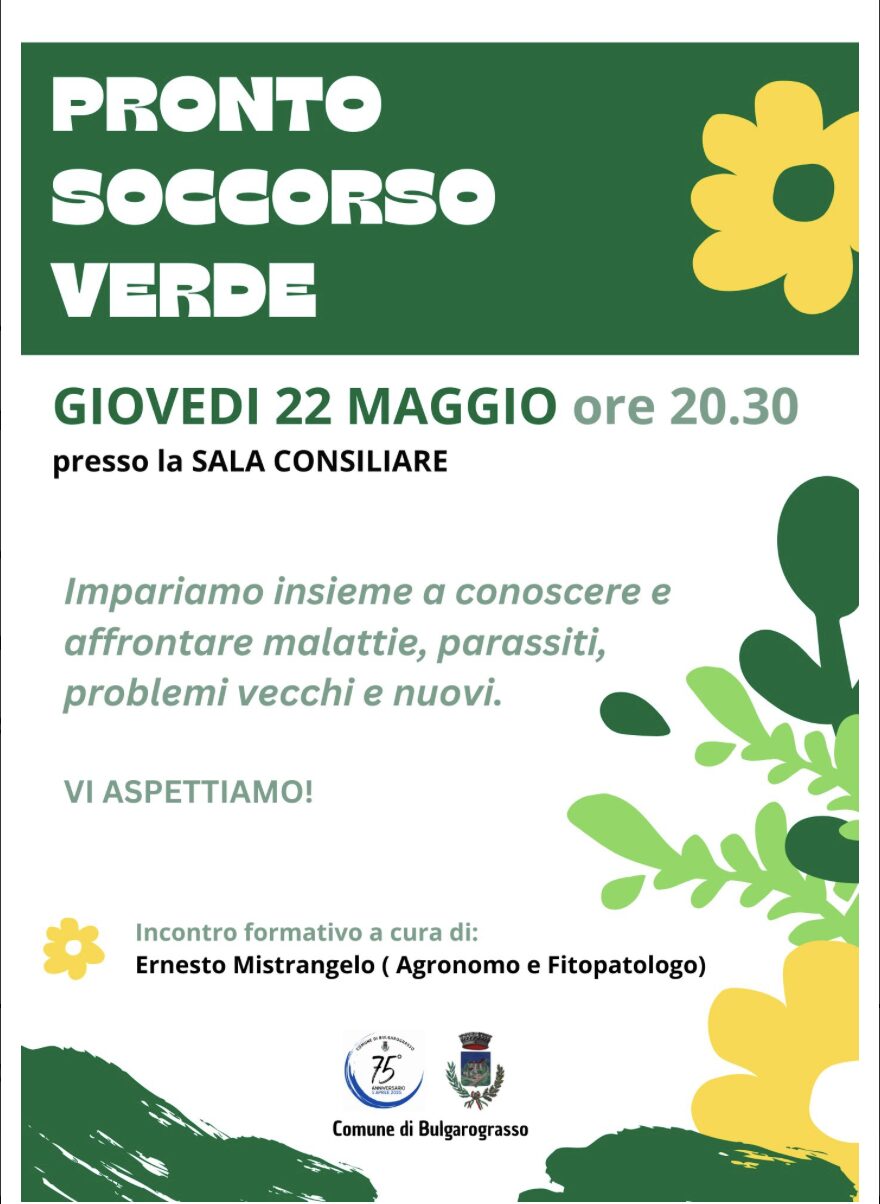Pronto Soccorso Verde