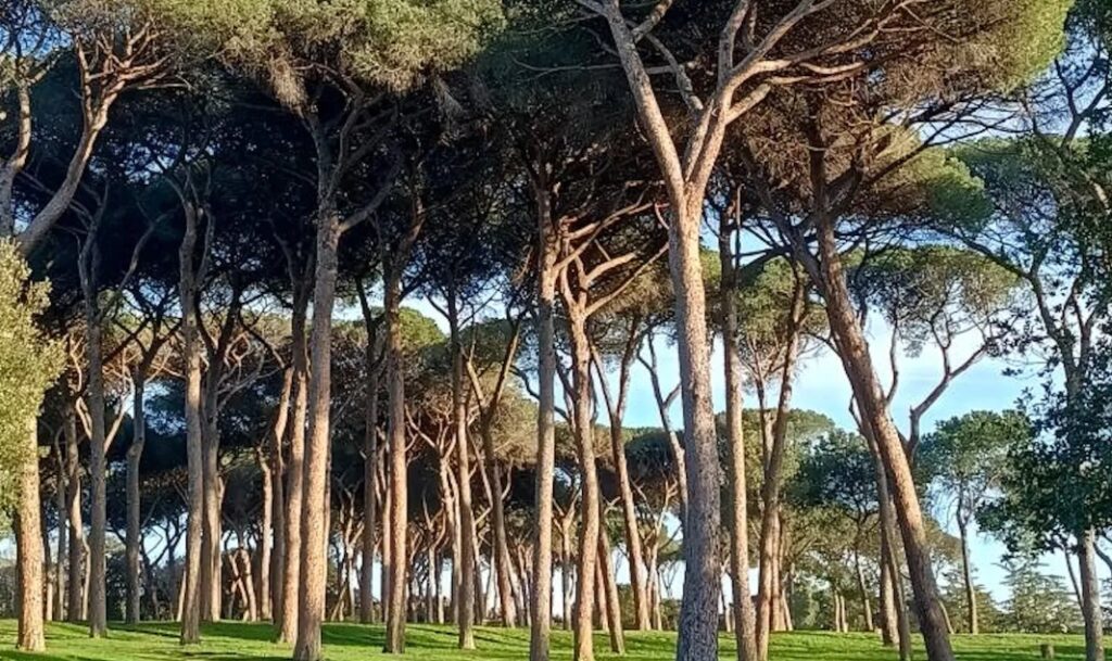 Villa Pamphili