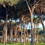Villa Pamphili