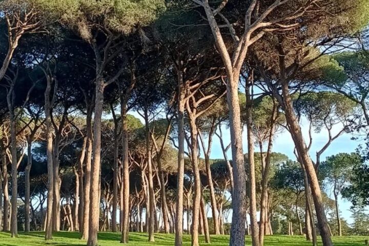Villa Pamphili