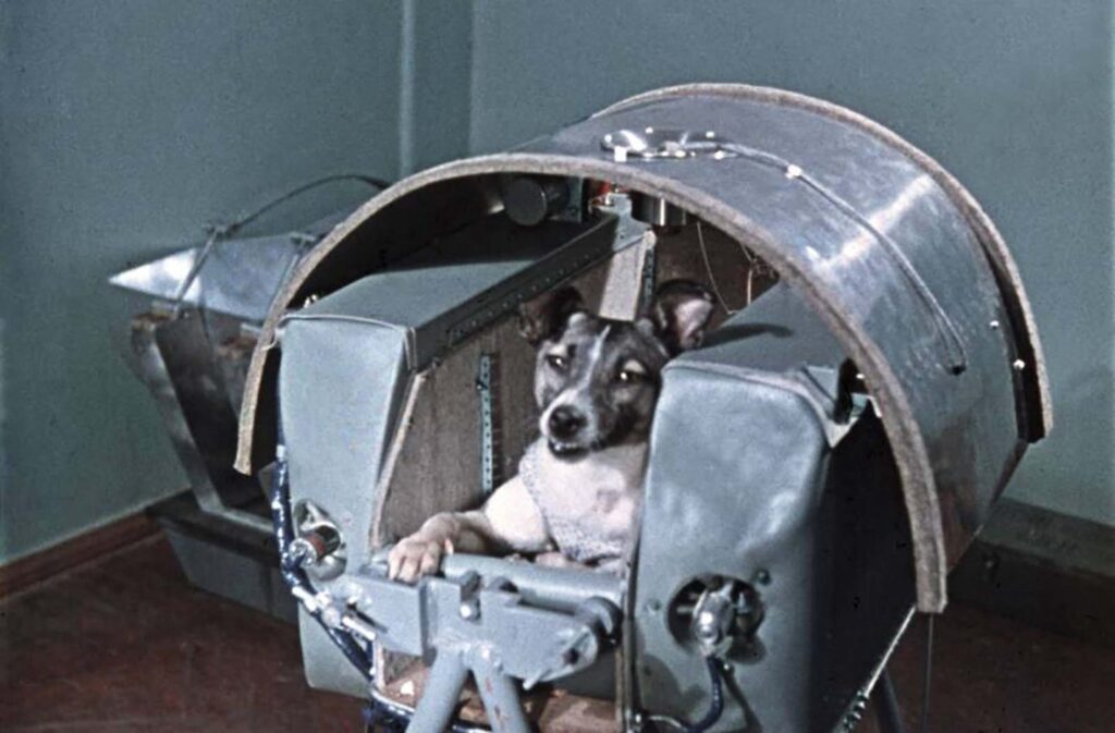 Laika