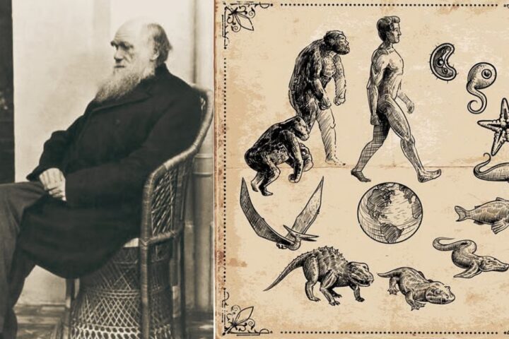 Charles Darwin