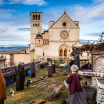 Natale plurale