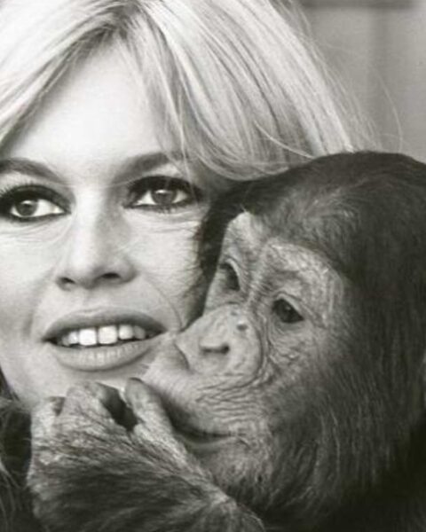Brigitte Bardot