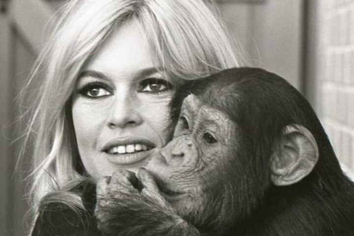 Brigitte Bardot