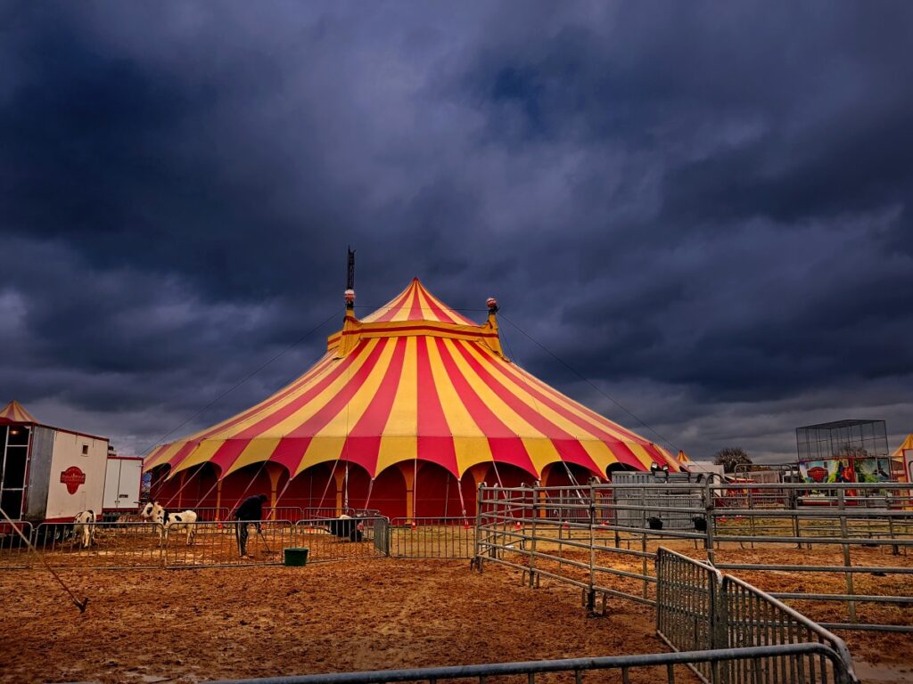 circo