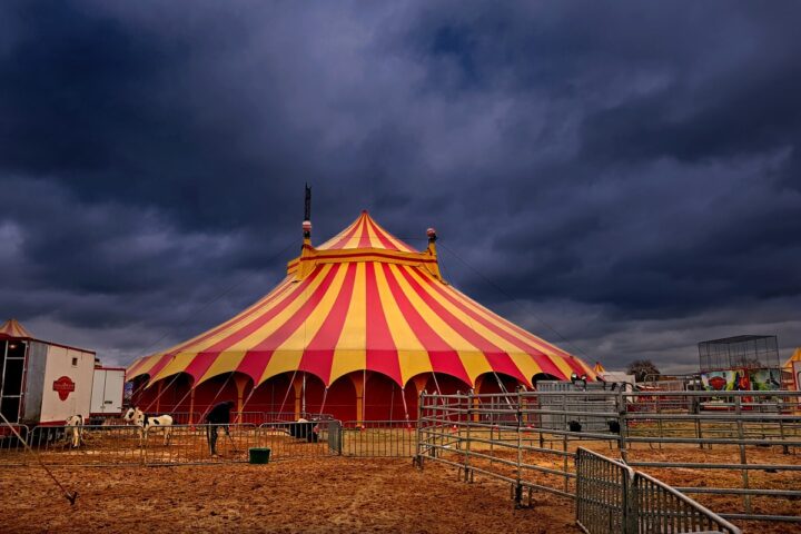 circo
