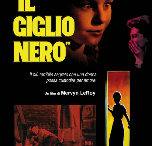 Il giglio nero, 1956, poster
