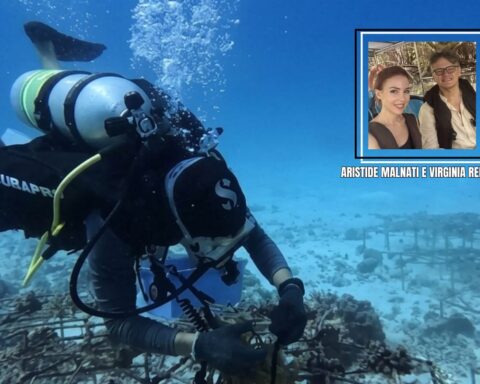 barriera corallina delle Maldive
