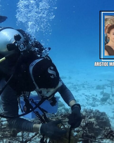 barriera corallina delle Maldive