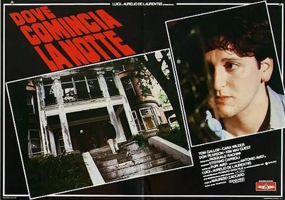 Fotobusta Dove comincia la notte, Zaccaro, 1991